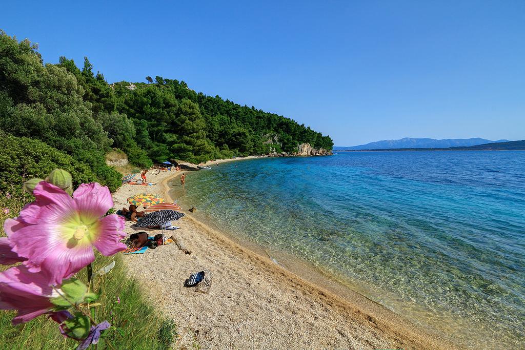 Holiday House Zorra Zivogosce Room photo