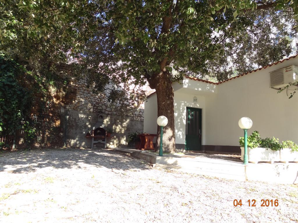 Holiday House Zorra Zivogosce Exterior photo